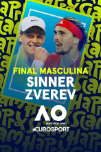 Imagen de Masculino: Sinner - Zverev - 10