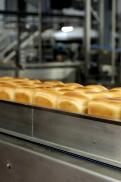 Dentro de la fábrica